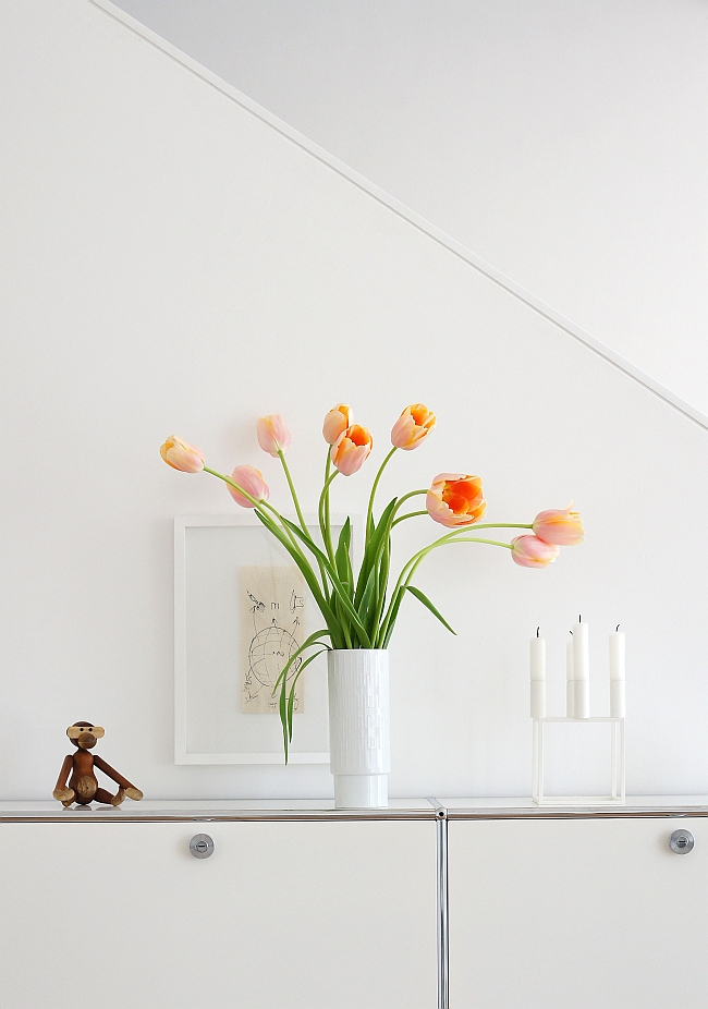French tulips | photo: Sabine Wittig