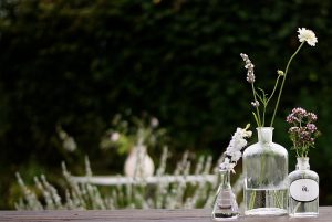Im Garten | Foto: Sabine Wittig