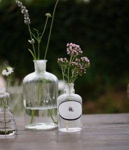 Im Garten | Foto: Sabine Wittig