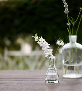 Im Garten | Foto: Sabine Wittig