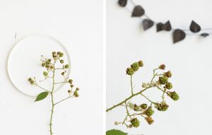 Herbststyling mit Brombeeren | Foto: Sabine Wittig