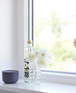 Rose Schneewittchen | Foto: Sabine Wittig