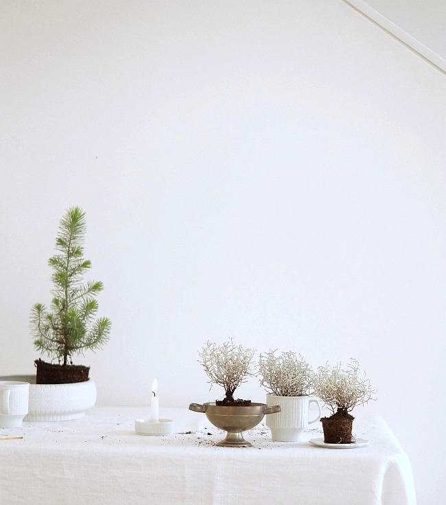 Vintage plant pots | photo: Sabine Wittig
