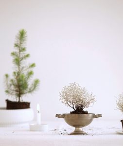 Vintage plant pots | photo: Sabine Wittig