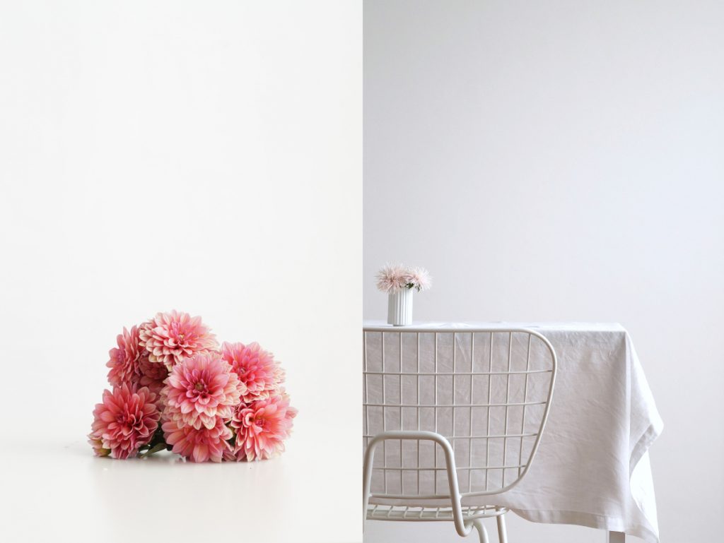 Dahlien und Chrysanthemen | Fotos: Sabine Wittig, azurweiss