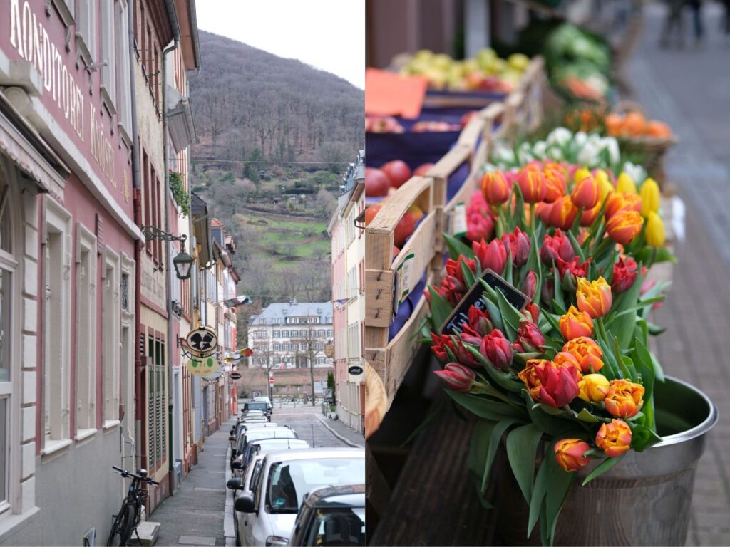 Ein Gasse in Heidelbergs Altstadt und Tulpen, die vor einem Schaufenster zum Verkauf stehen.