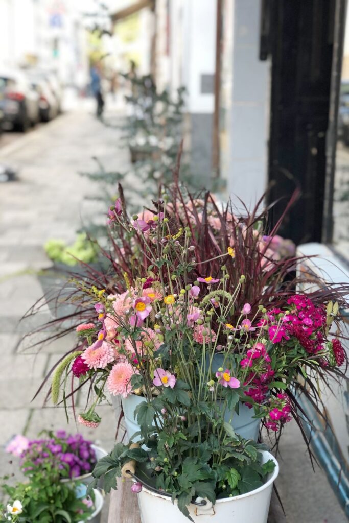 Spätsommer in der Türkenstraße